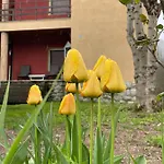 Prázdninový dům Casita Bonita