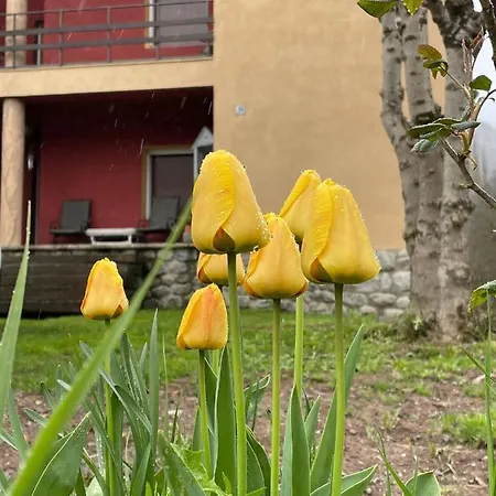 Σπίτι διακοπών Casita Bonita