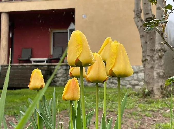 Semesterbostad Casita Bonita