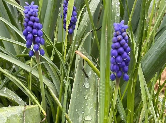 Casita Bonita Semesterbostad Castejón de Sos